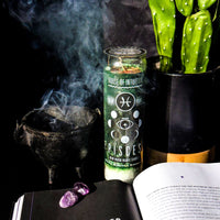 2026 New Moon Ritual Candle (Limited Edition) Candle -Full Moon V95