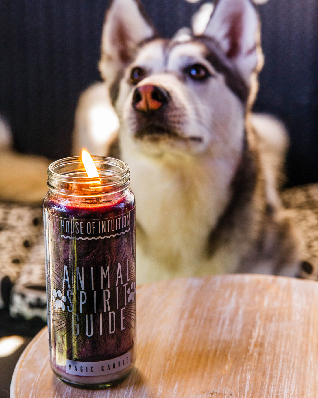 Animal Spirit Guide Magic Candle Candle -Magic V50