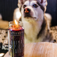 Animal Spirit Guide Magic Candle Candle -Magic V50