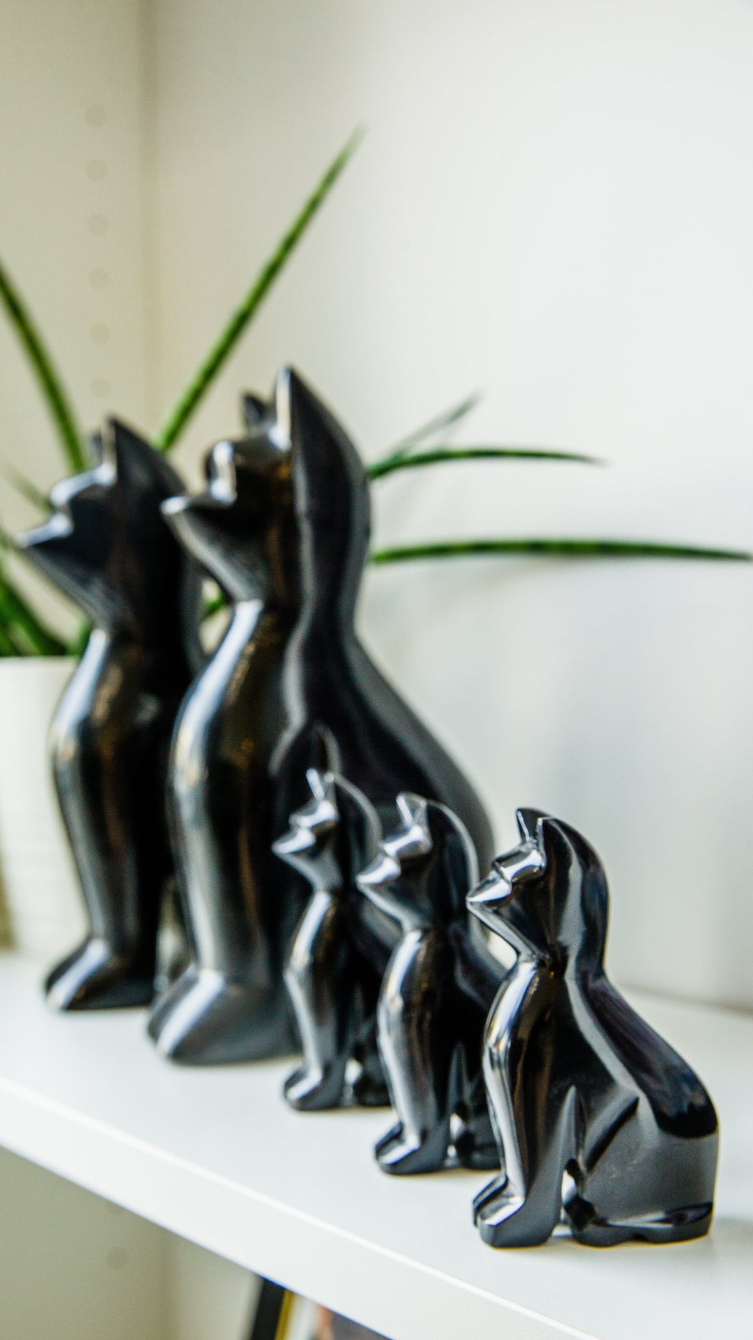 Black Onyx Cat Crystal V45