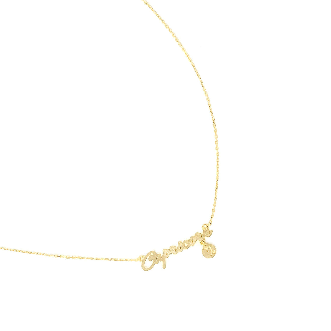 Capricorn Zodiac Necklace (Gold) Necklace Discontinued