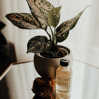 Orange Water Personal Care -Water V50