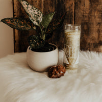 HOI Virgo Zodiac Candle Candle -Zodiac V50
