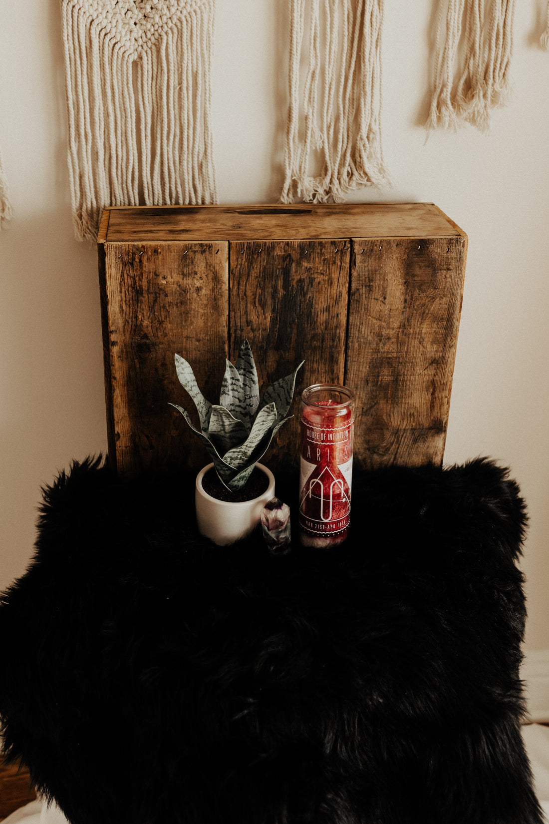 HOI Aries Zodiac Candle Candle -Zodiac V50