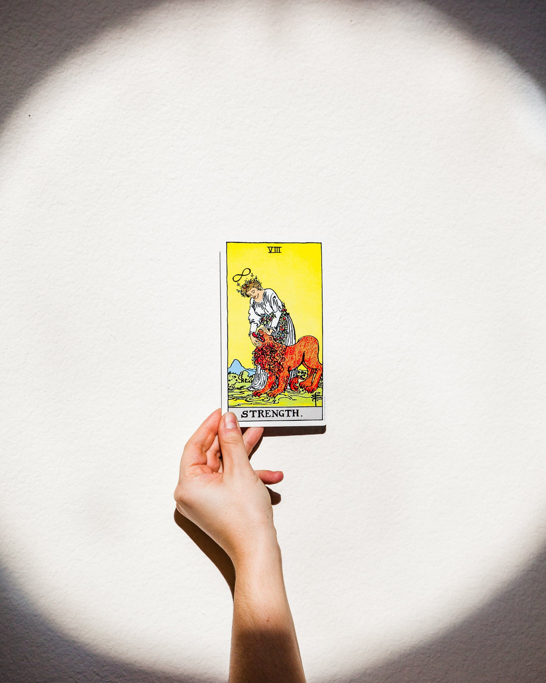 Giant Rider-Waite Tarot Deck Media -Deck V440