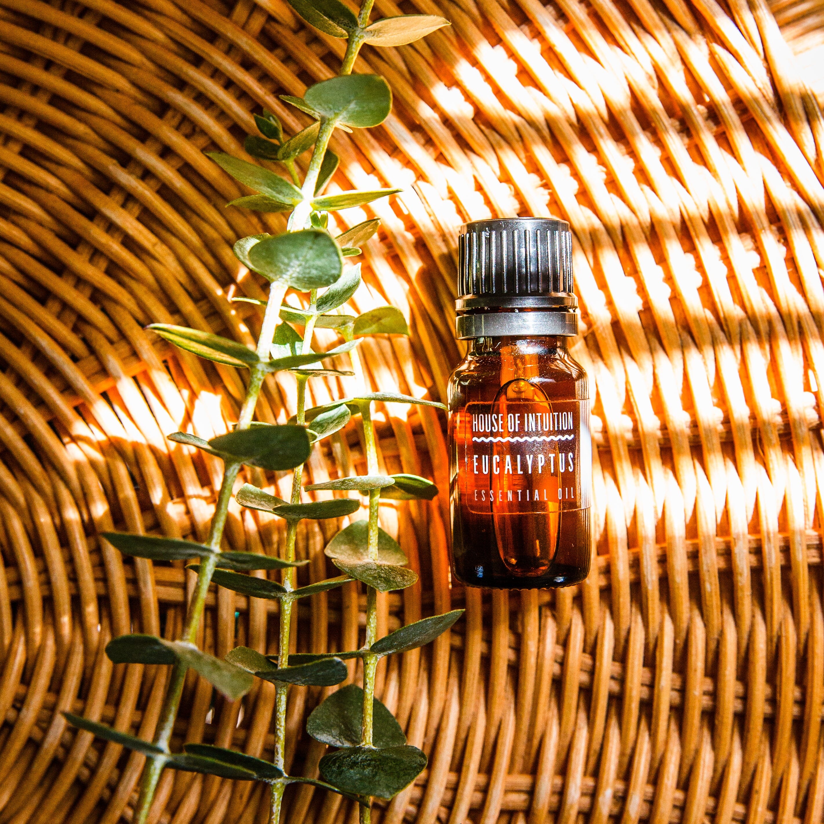 Eucalyptus Essential Oil – House of Intuition Inc