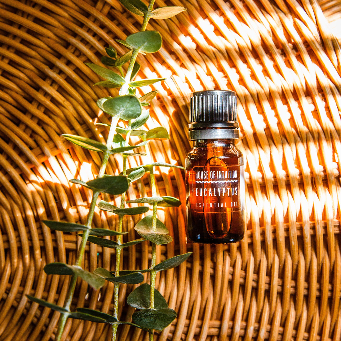 Eucalyptus Essential Oil Incense & Holders -Essential Oil V50