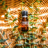 Eucalyptus Essential Oil Incense & Holders -Essential Oil V50