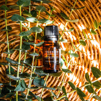 Eucalyptus Essential Oil Incense & Holders -Essential Oil V50