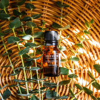 Eucalyptus Essential Oil Incense & Holders -Essential Oil V50