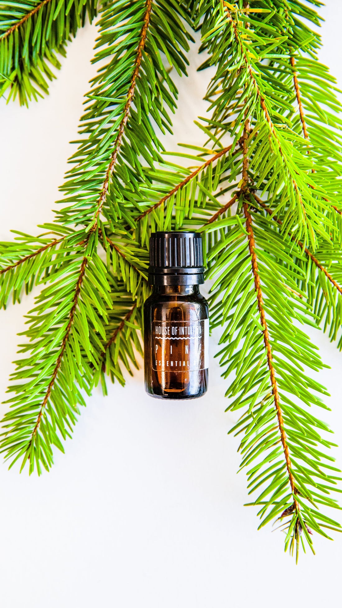 Pine Needle Essential Oil Incense & Holders -Essential Oil V50