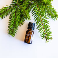 Pine Needle Essential Oil Incense & Holders -Essential Oil V50