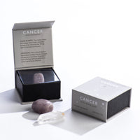 Cancer Zodiac Mini Crystal Set Crystal -Crystal Set V45