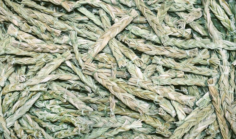 Sweetgrass Ritual Cleansing Stick Incense & Holders -Smudge V370