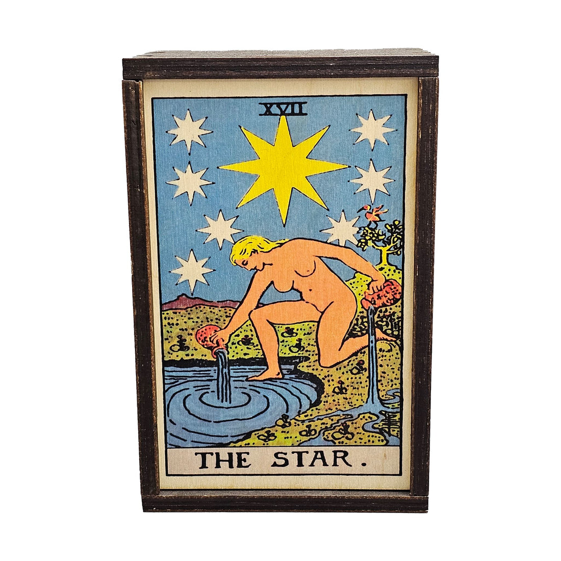 2025 Aquarius Zodiac Energy Box (Limited Edition - $119 Value) Box -Birthday V50