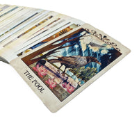 Crow Tarot Cards Tarot Cards Non-HOI