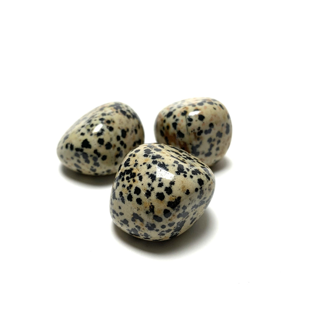 Dalmatian Jasper Tumbles Dalmatian Jasper Crystals B. $6.00