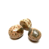 Leopard Jasper Tumbles Leopard Jasper Crystals A. $6.00