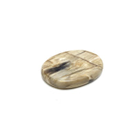 Petrified Wood Medallions Petrified Wood Crystals