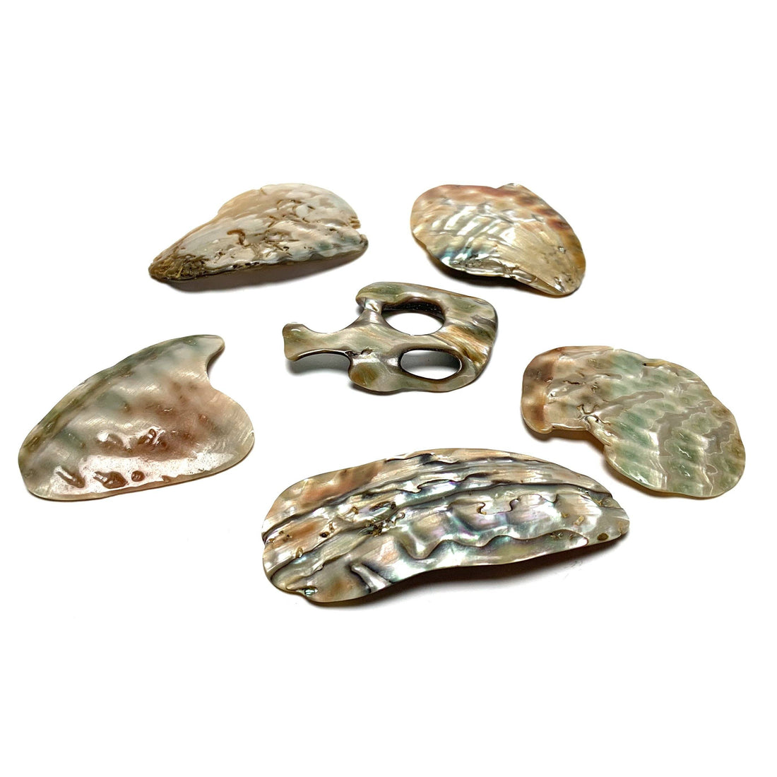 Abalone Slices Abalone Crystals A. $6.00