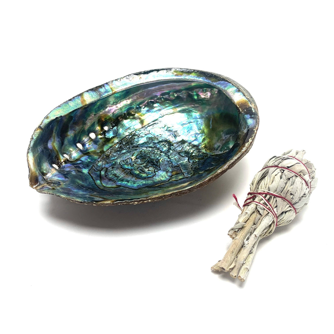 Abalone Shell & Mini Sage Smudge Bundles House of Intuition B. $22.00
