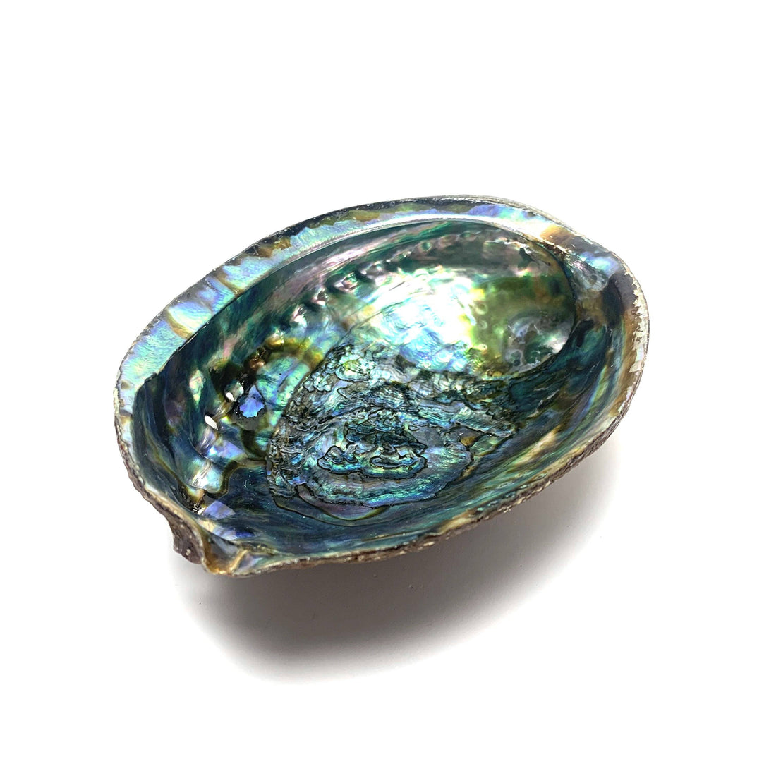 Abalone Shell & Mini Sage Smudge Bundles House of Intuition