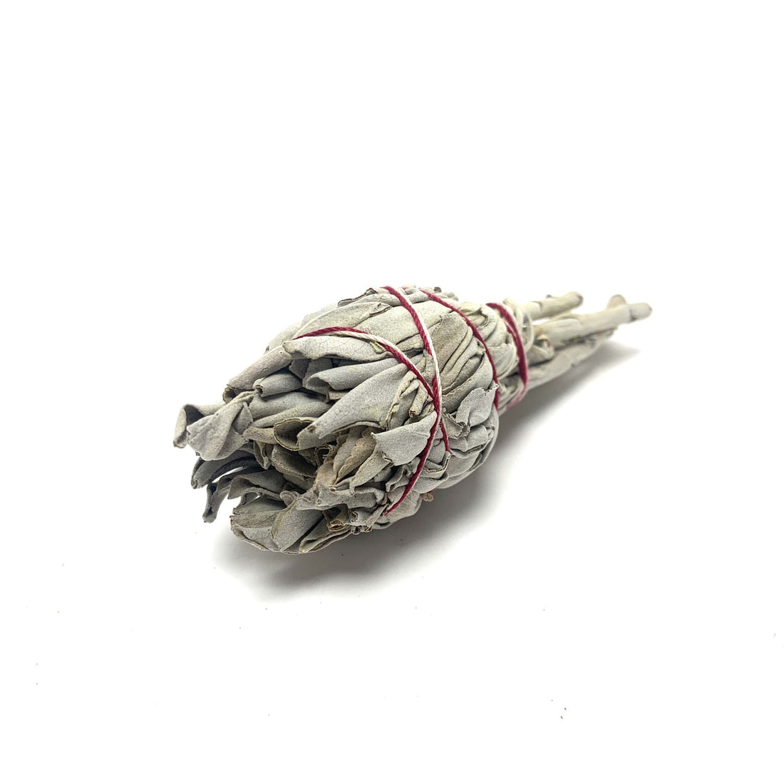 Abalone Shell & Mini Sage Smudge Bundles House of Intuition