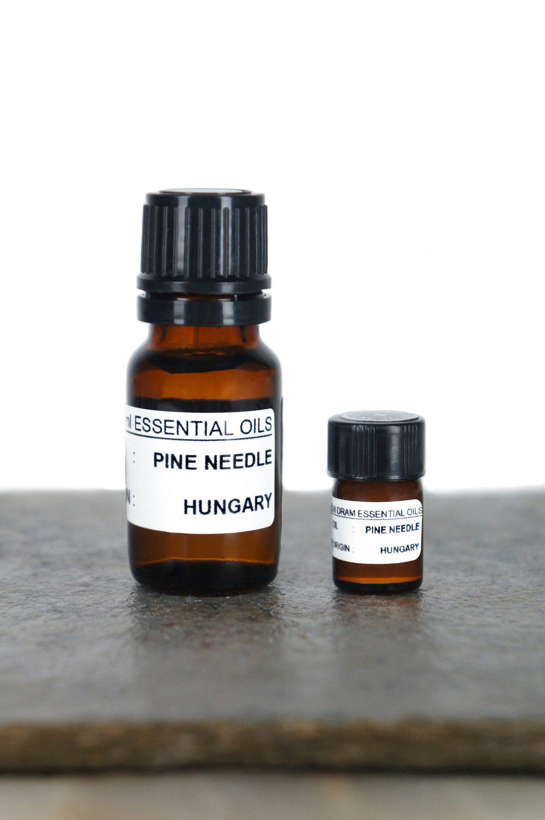 Pine Needle Essential Oil Essential Oils House of Intuition