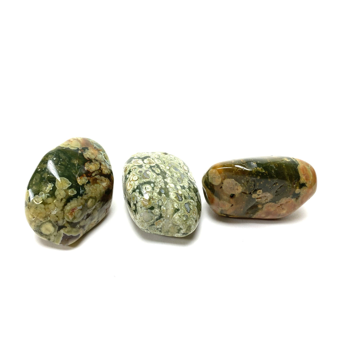 Rainforest Rhyolite Tumbles Rainforest Jasper Crystals