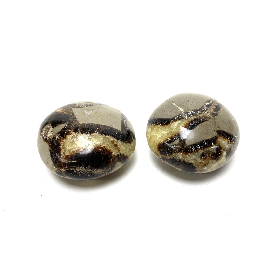 Septarian Palm Stone Septarian Crystals A $14.00