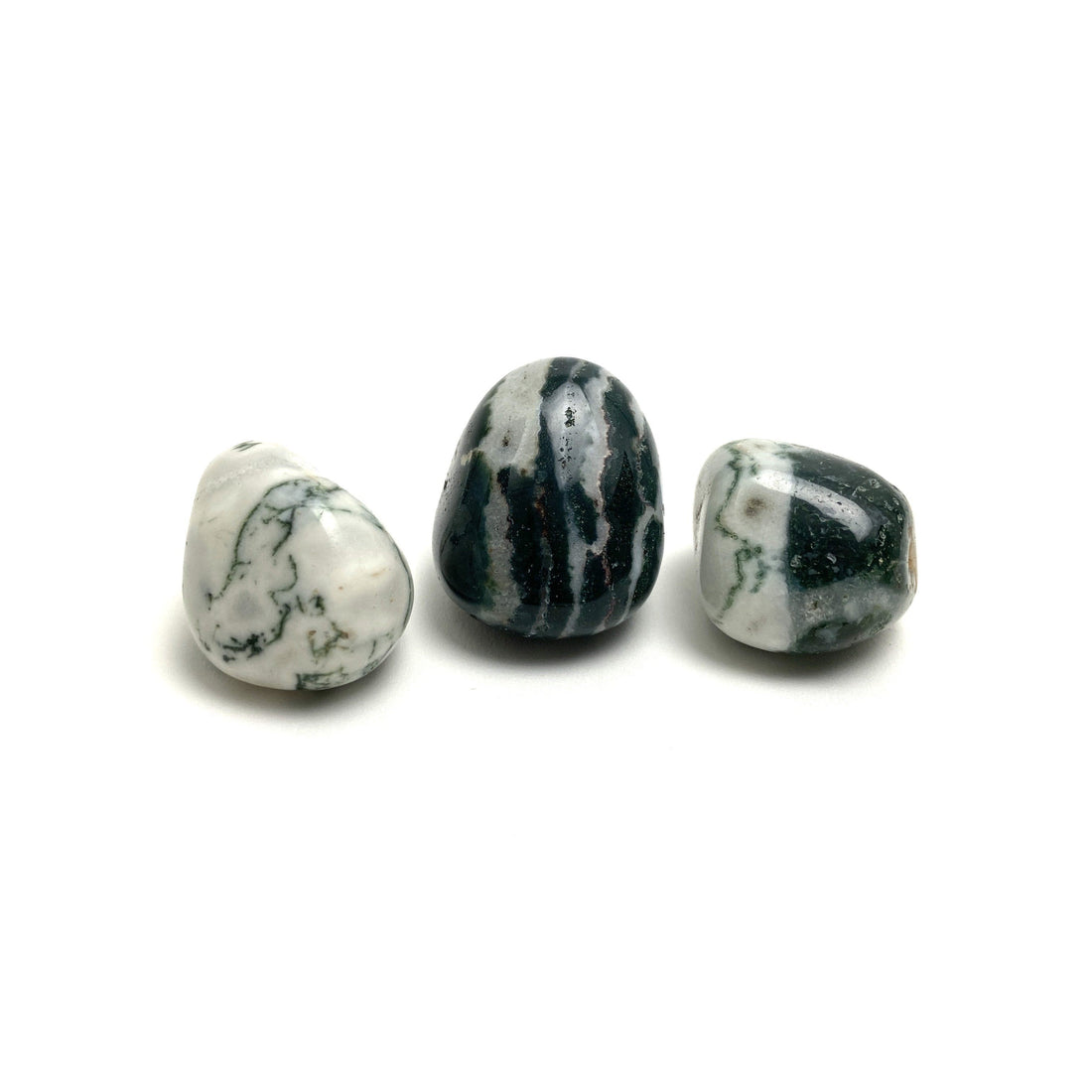 Tree Agate Tumbles Tree Agate Crystals A. $2.00