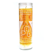 HOI Leo Zodiac Candle Zodiac Candles House of Intuition