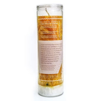 HOI Leo Zodiac Candle Zodiac Candles House of Intuition