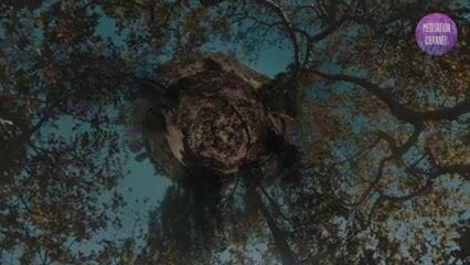 New Moon in Pisces 3/6/2019