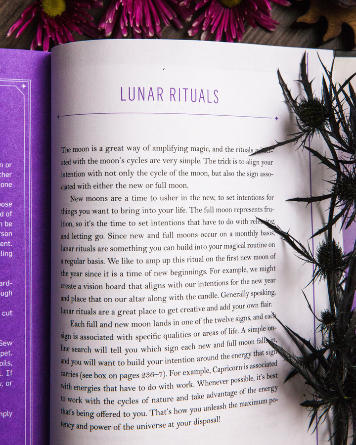 Harness the Winter Solstice with this Dark Moon Goddess Ritual
