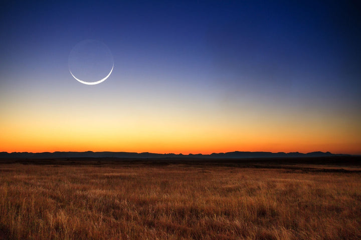 New Moon in Taurus: Outsmart the Competition