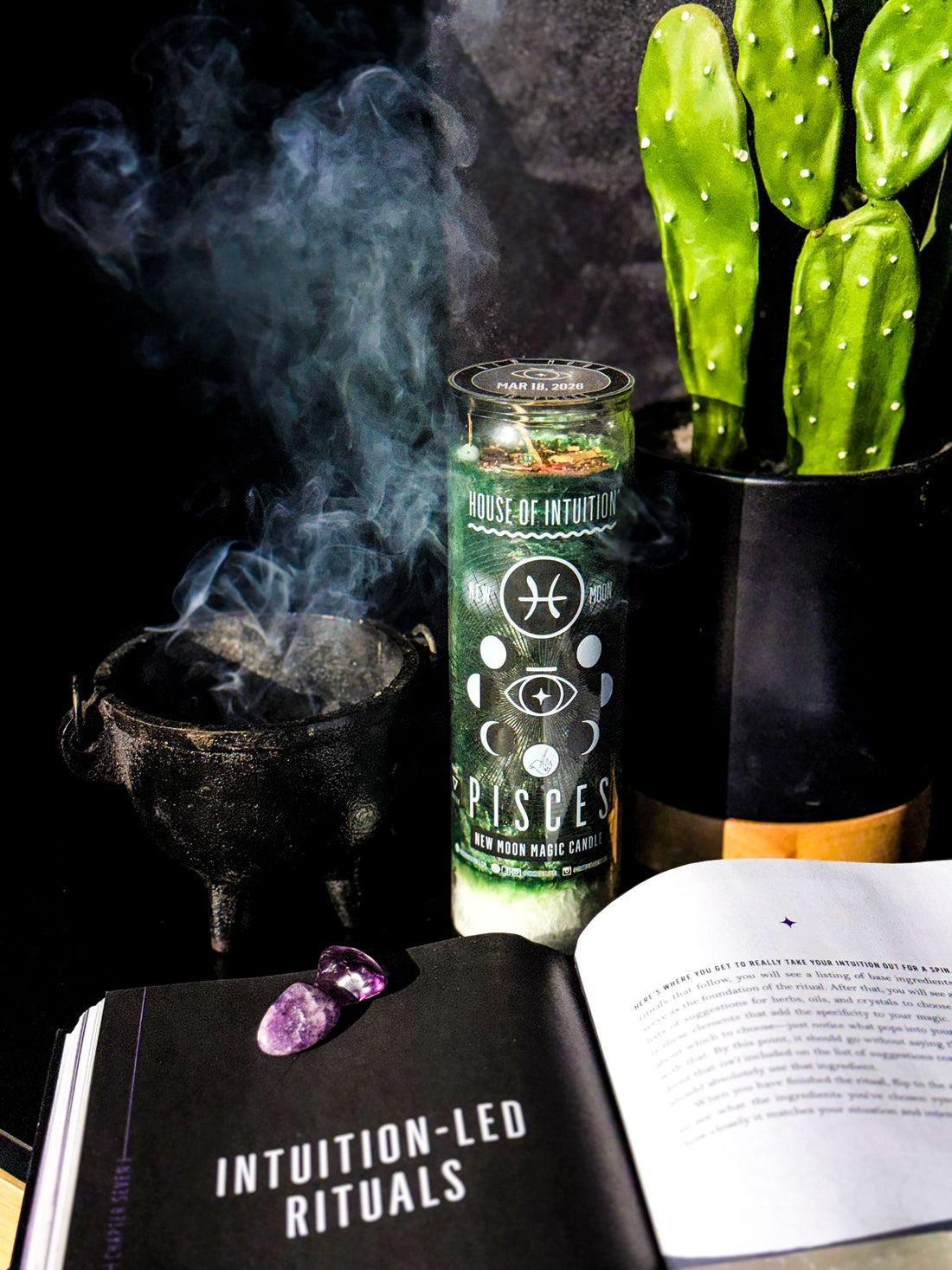 2026 New Moon Ritual Candle (Limited Edition) Candle -Full Moon V95 