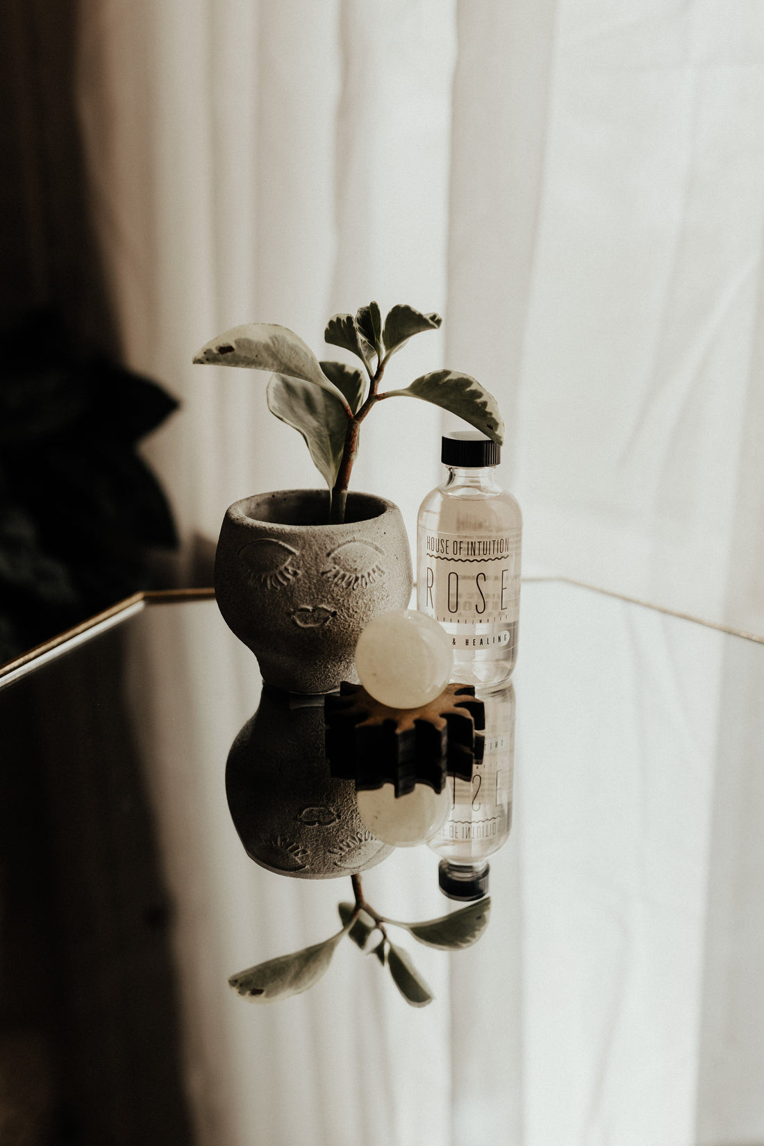 is rose water good for indoor plants Rose Water