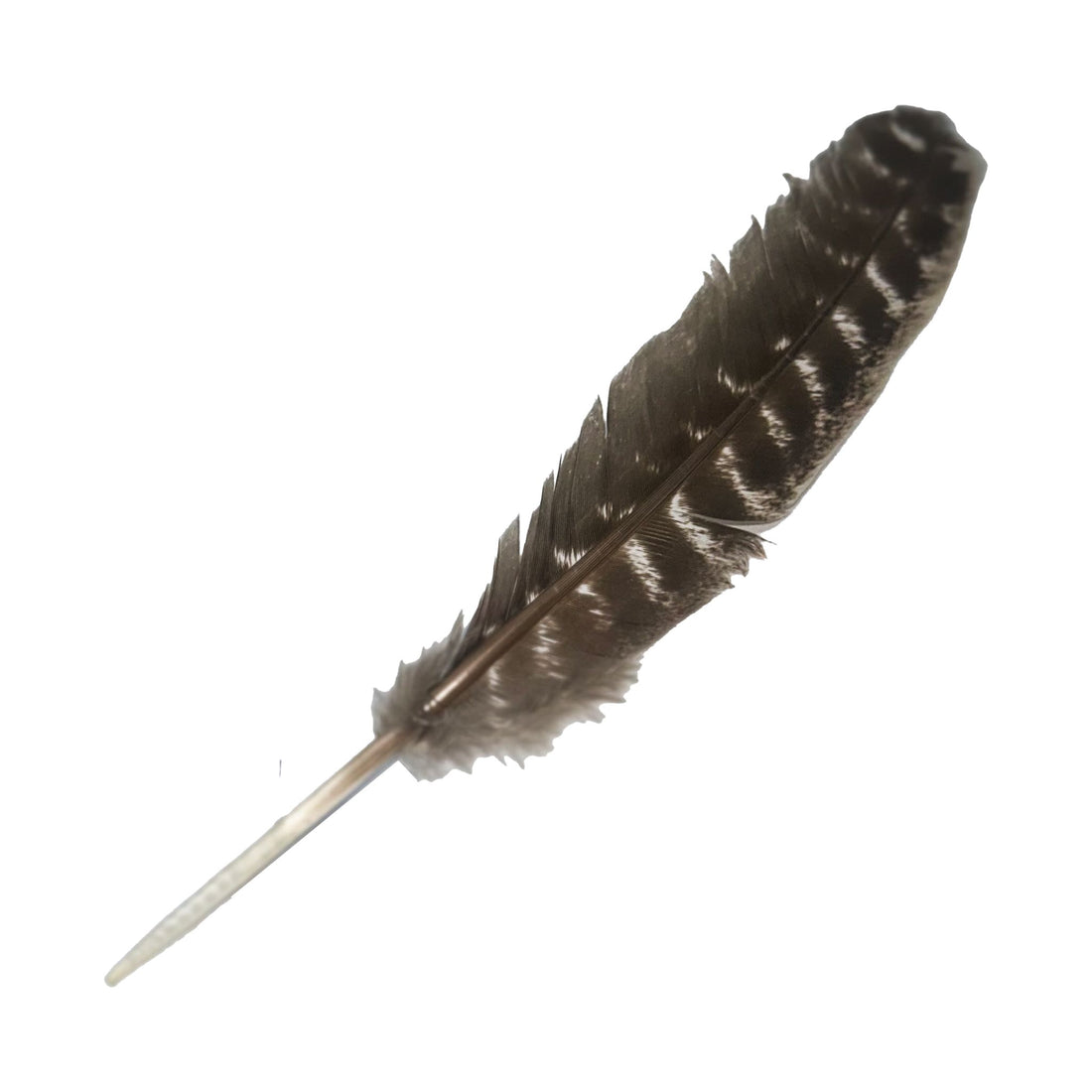 Turkey Feather Incense & Holders -Smudge Whse 