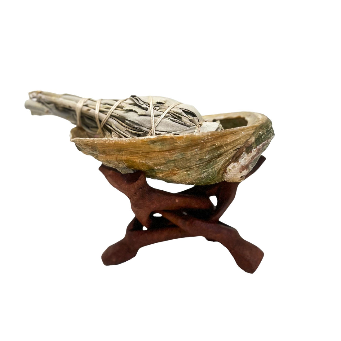 Abalone Shell Holder House of Intuition Inc 