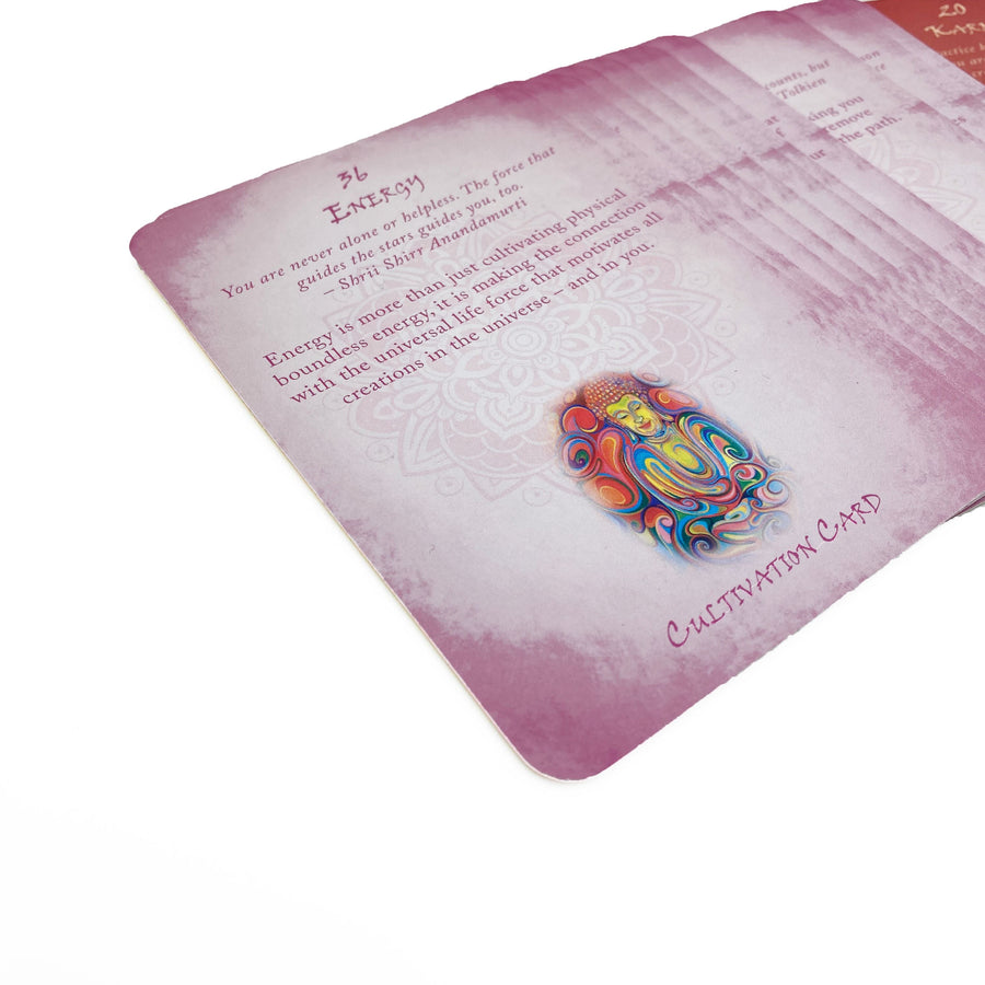 Buddhism Reading Cards Oracle Cards Non-HOI 