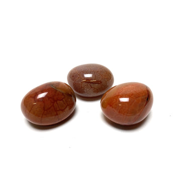 Cracked Fire Agate Tumbles Fire Agate Crystals A. $10.00 