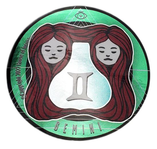HOI Holographic Gemini Sticker Paintings & Art Pieces House of Intuition 