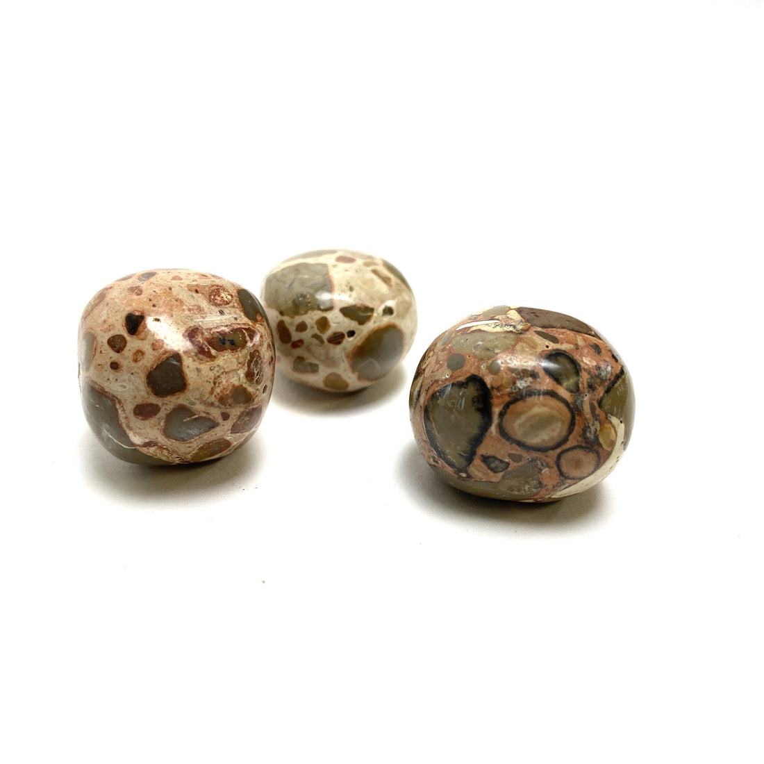 Leopard Jasper Tumbles Leopard Jasper Crystals 