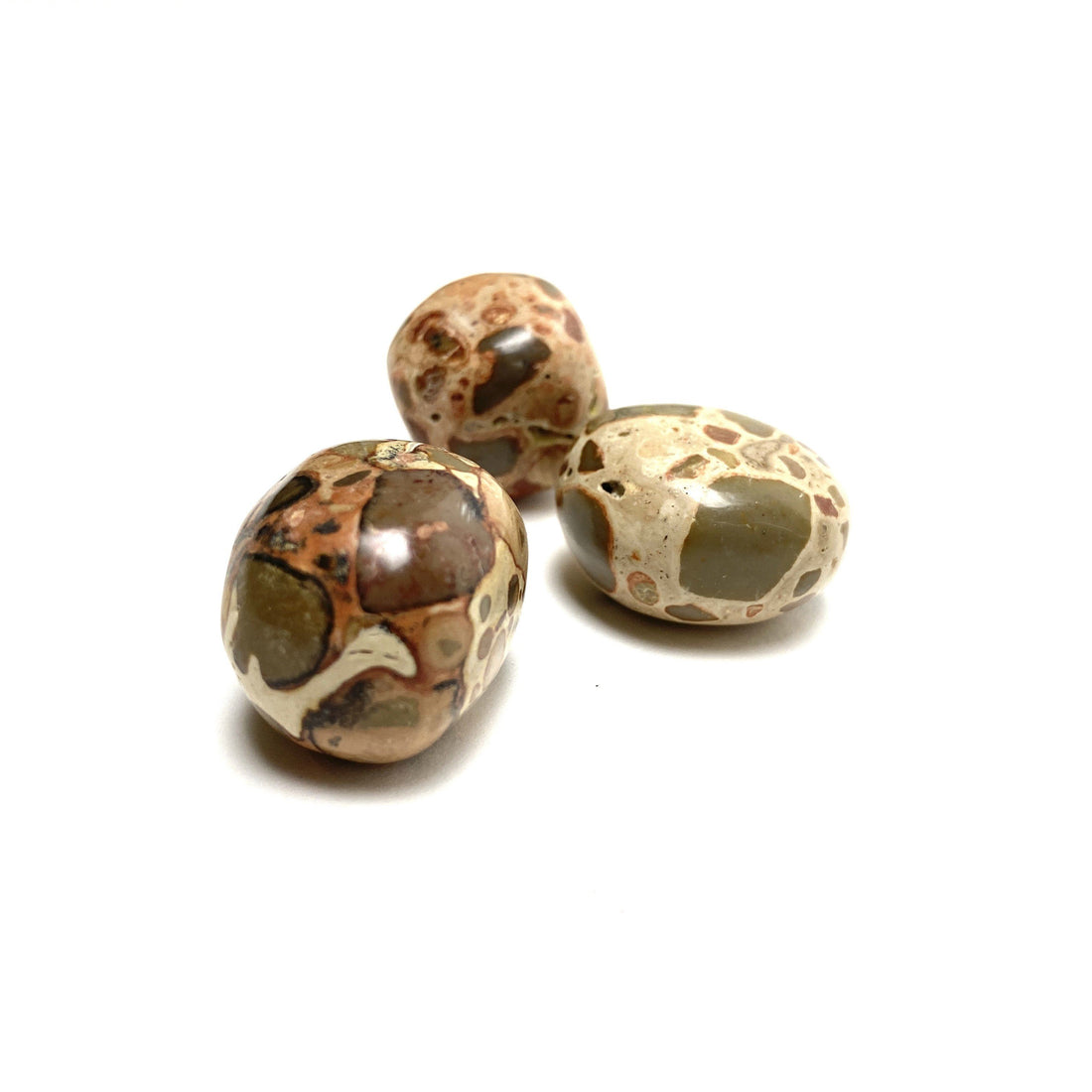 Leopard Jasper Tumbles Leopard Jasper Crystals 