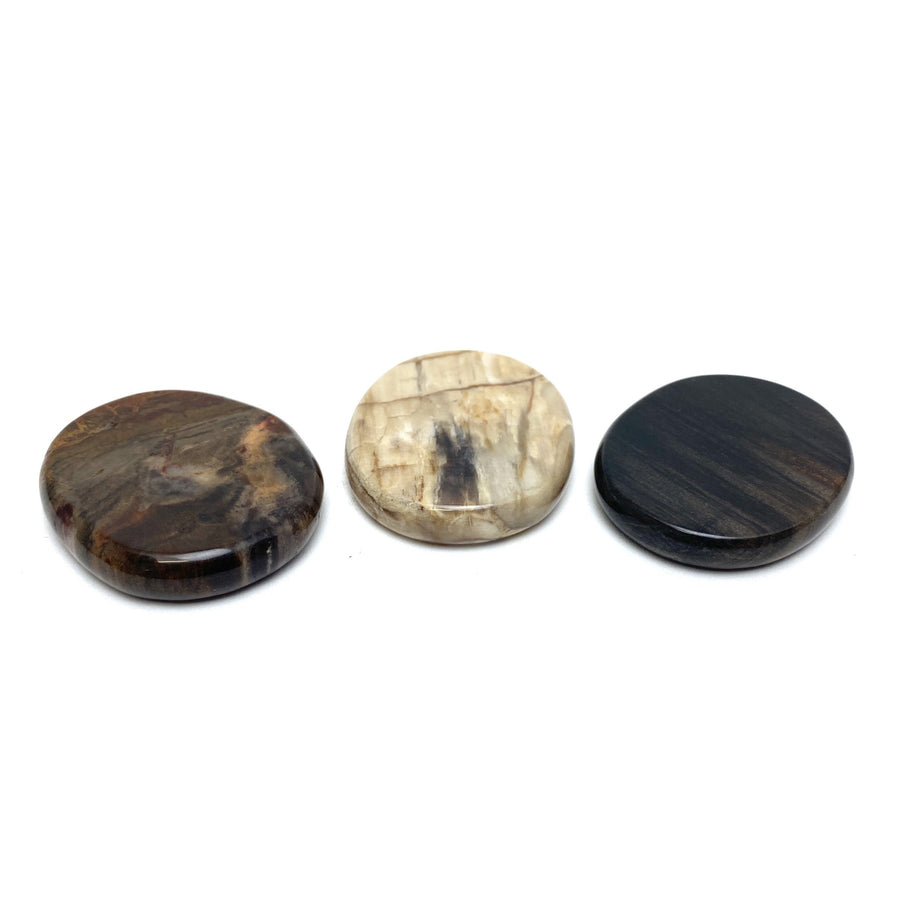 Petrified Wood Medallions Petrified Wood Crystals 