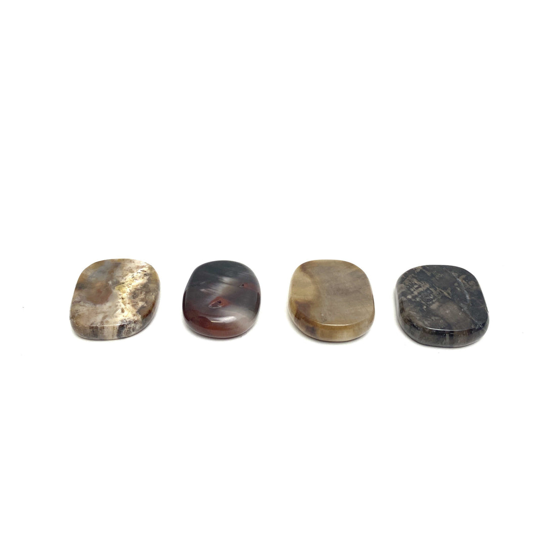 Petrified Wood Medallions Petrified Wood Crystals 