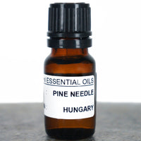 Pine Needle Essential Oil Essential Oils House of Intuition 10 ml / .34 fl oz 