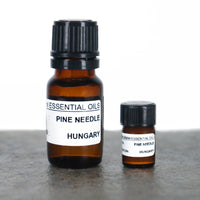 Pine Needle Essential Oil Essential Oils House of Intuition 