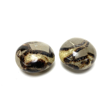 Septarian Palm Stone Septarian Crystals A $14.00 